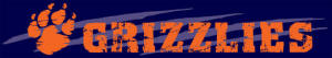 Grizzlies logo